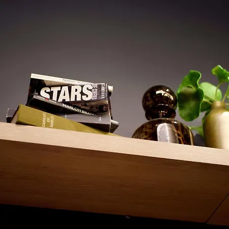 酒店 Ibis Styles Centre