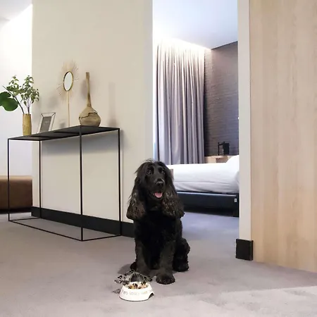 Ibis Styles Centre Arras