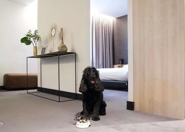 Ibis Styles Centre Arras